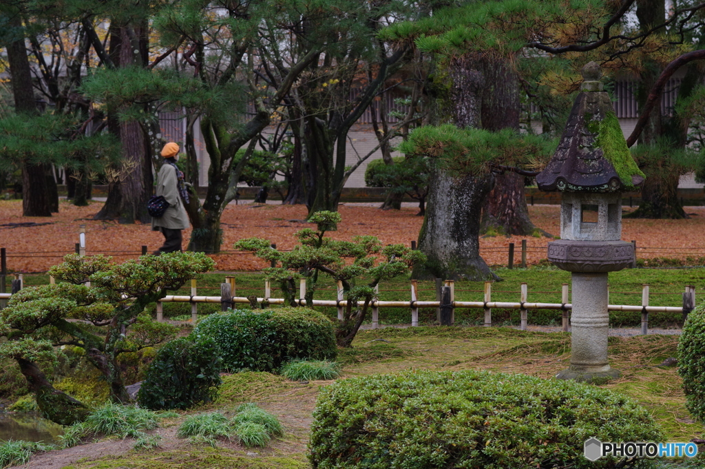 雨に濡れる晩秋の兼六園 (23)