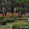 雨に濡れる晩秋の兼六園 (23)