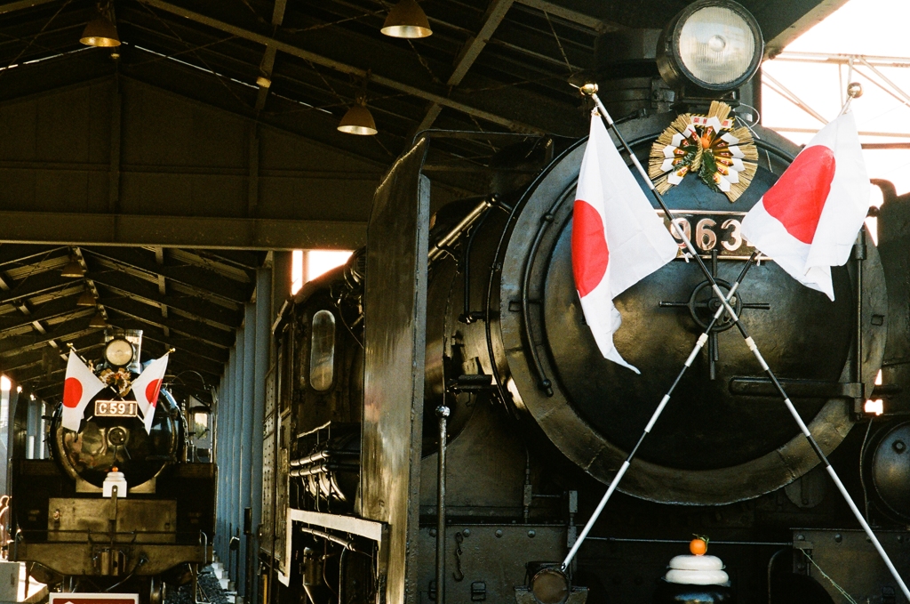 Kodak PORTRA 800 正月