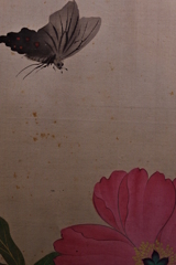 四季花鳥図巻　巻上　美しいです。