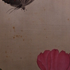 四季花鳥図巻　巻上　美しいです。
