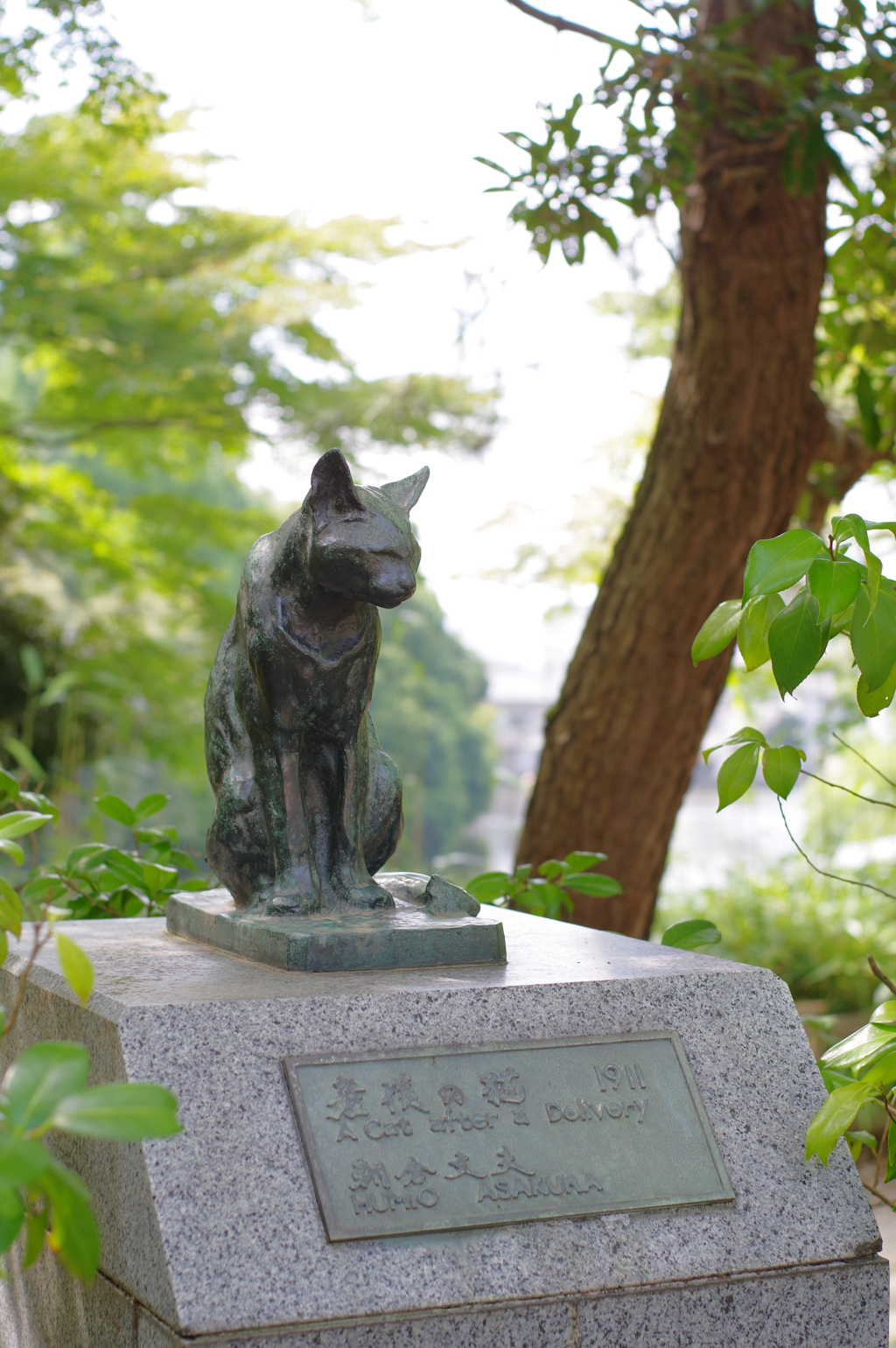 高岡ぶらぶら　高岡城跡 猫