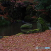 雨に濡れる晩秋の兼六園 (17)