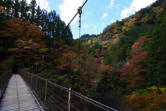 奥多摩むかしみち つり橋と紅葉