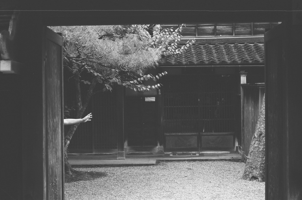 白黒フィルムで散歩 金沢武家屋敷 心霊写真っぽく撮れました