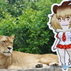 東武動物公園 フレンズを見つめるライオン(メス)