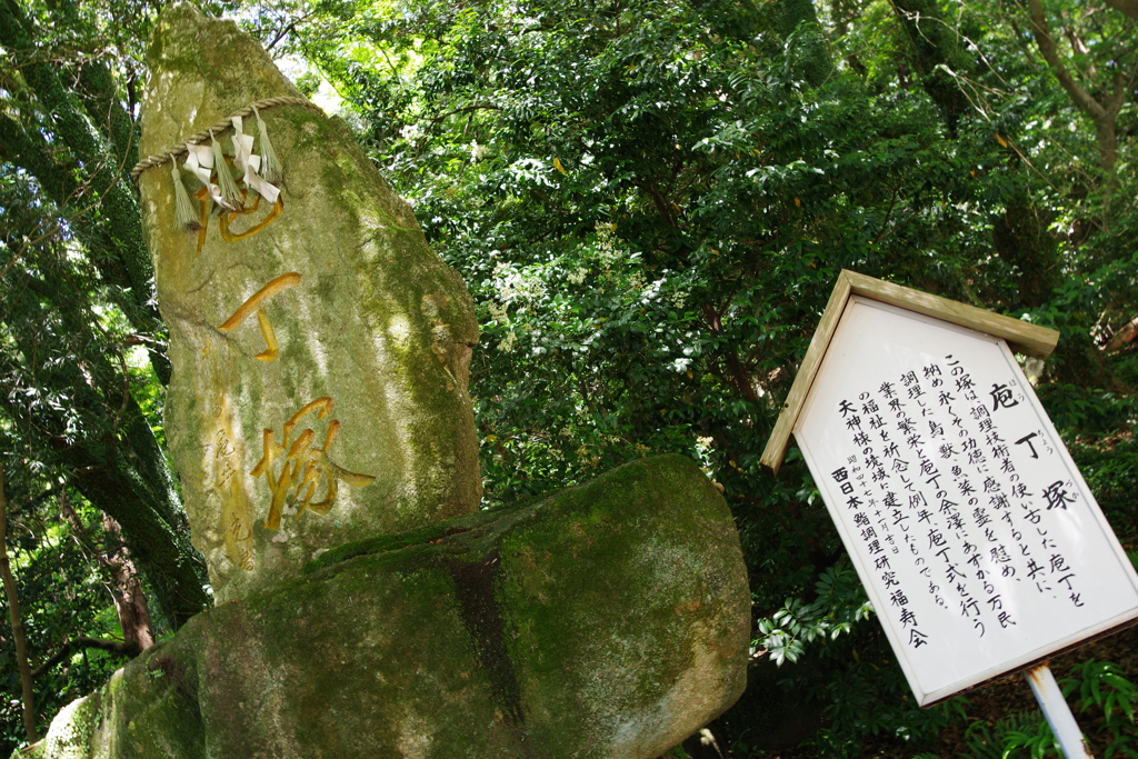 大宰府天満宮　ぶらぶら