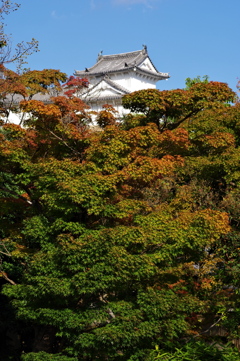 姫路城周辺観光 好古園から姫路城方向