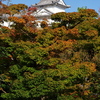姫路城周辺観光 好古園から姫路城方向