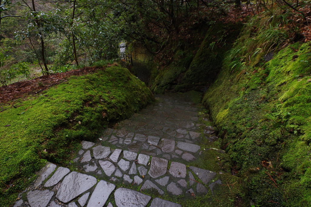山中温泉ぶらぶら あやとり橋６