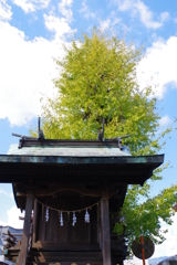 大分ちょっと観光　臼杵　八坂神社②