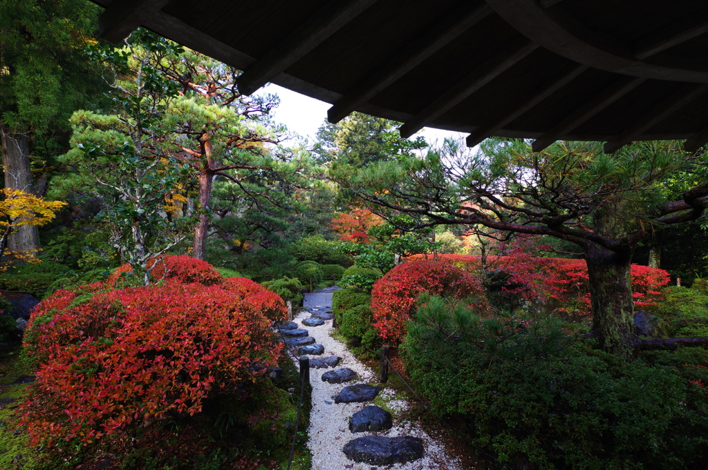 那谷寺 紅葉 (23)