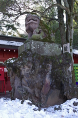 大国魂神社 狛犬達 (6)