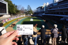 東京競馬場 適当に買った馬券