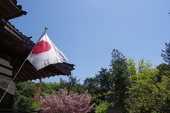 金沢 町ブラ　国旗