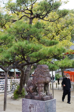 住吉神社 初詣 (6)