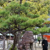 住吉神社 初詣 (6)