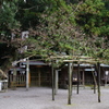 20190101 宗像神社 初詣