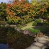 姫路城周辺観光 好古園