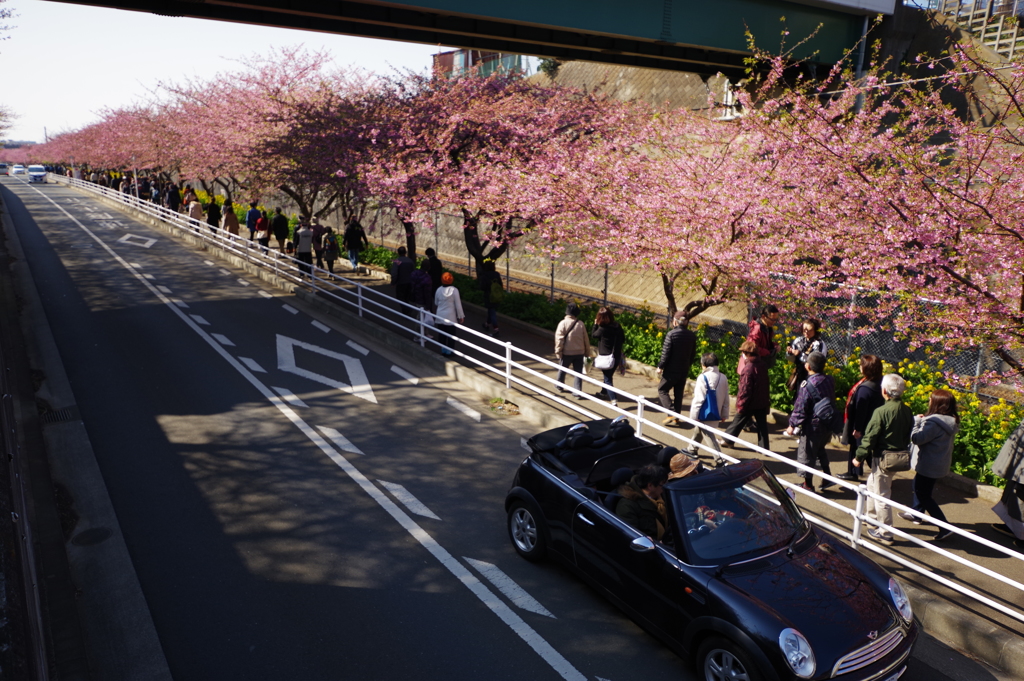 DA 11-18mm f2.8 試し撮り かっこいい車