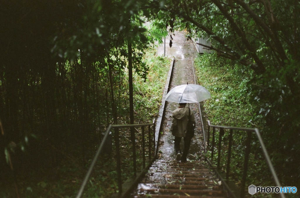 雨の中を真っ直ぐ歩く男 (フィルム)