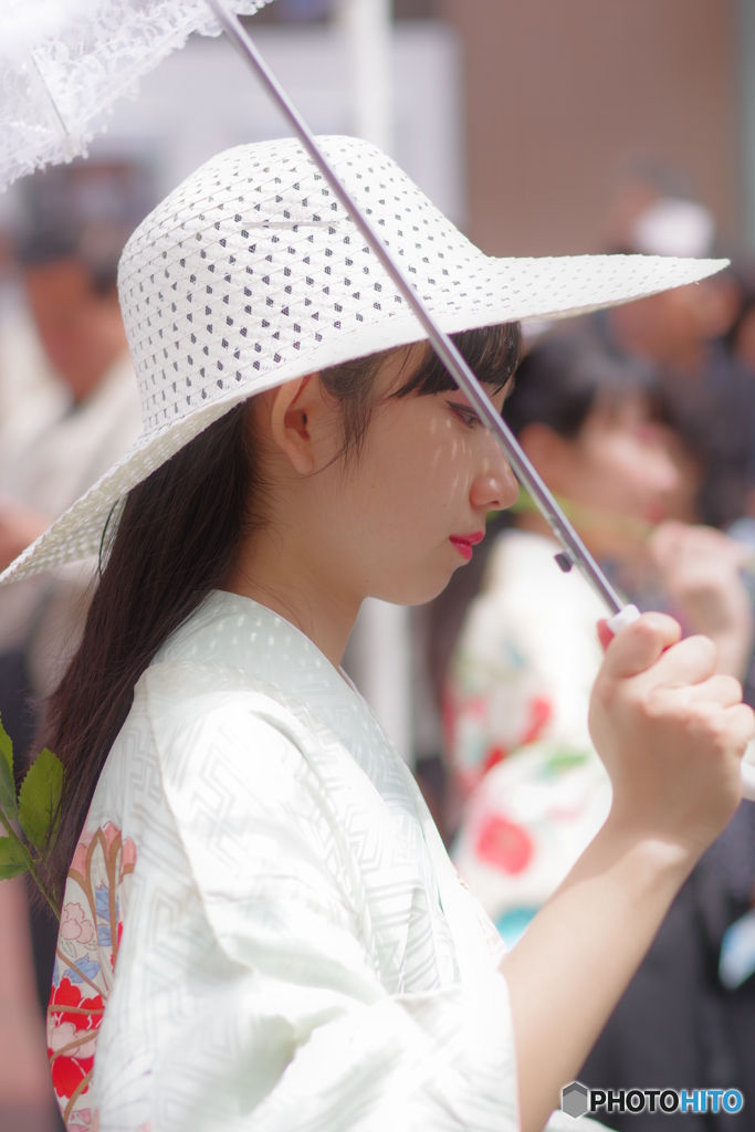 綺麗ですね