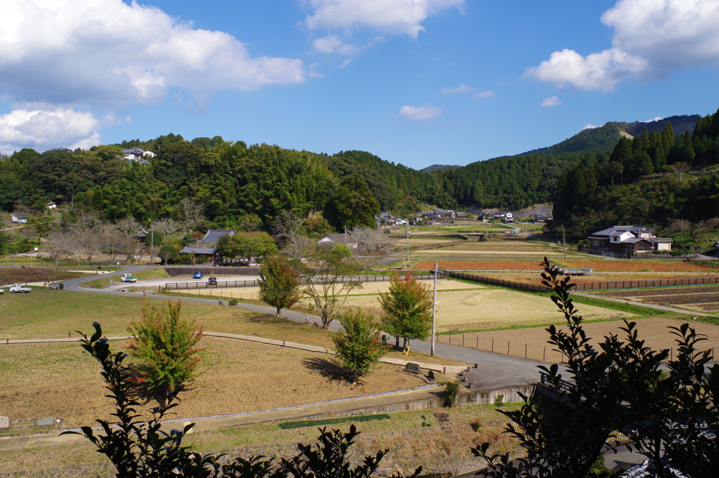 大分ちょっと観光 臼杵大仏が見ているのどかな風景