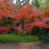 那谷寺 紅葉 (74)