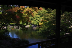 姫路城周辺観光 好古園　もう少し紅葉してて