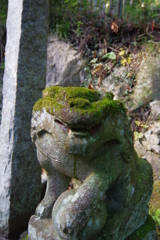 奥多摩むかしみち 白髭神社 狛犬様