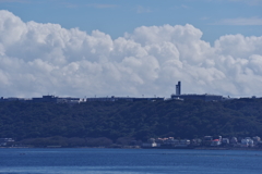 猿島よりかなたに見える防衛大学校