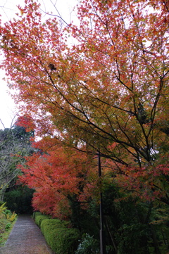 那谷寺 紅葉 (73)