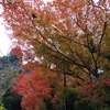 那谷寺 紅葉 (73)