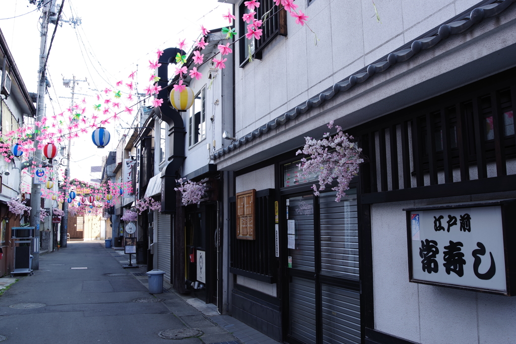弘前さくら祭り 町並み 1