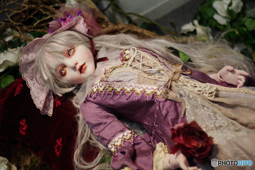 清水真理展　ペトリ50mmf1.7