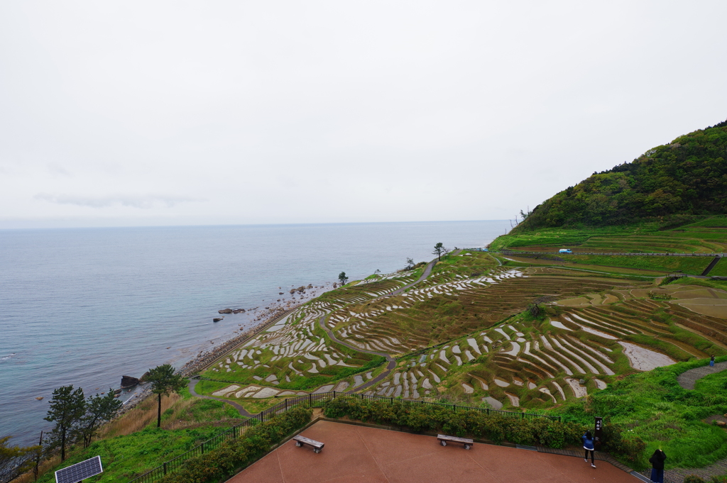 能登半島ドライブ 千枚田