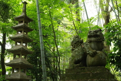 粟津温泉街をぶらぶら　狛犬様