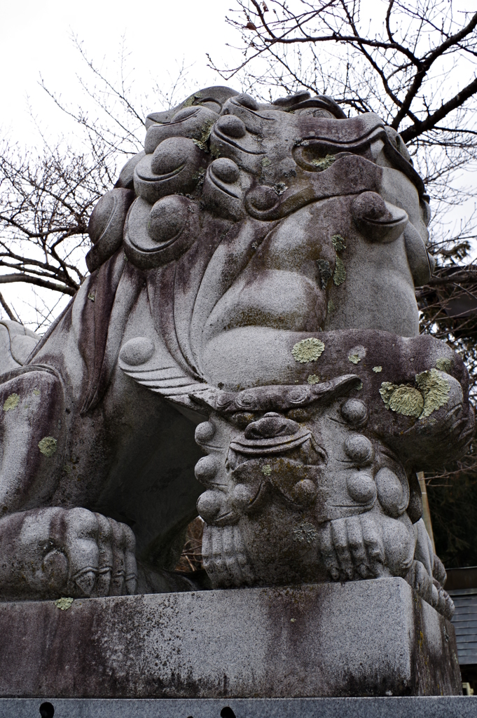 河口湖周辺 浅間神社　ご立派