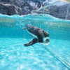 のとじま水族館　ぺんぎん