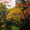 那谷寺 紅葉 (78)