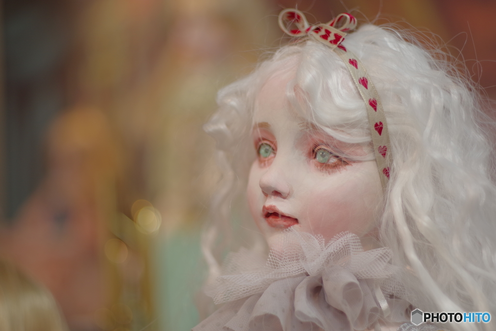 清水真理展　ペトリ50mmf1.7