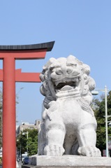 鎌倉 笑い狛犬