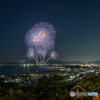 三谷魚市場西埠頭 花火