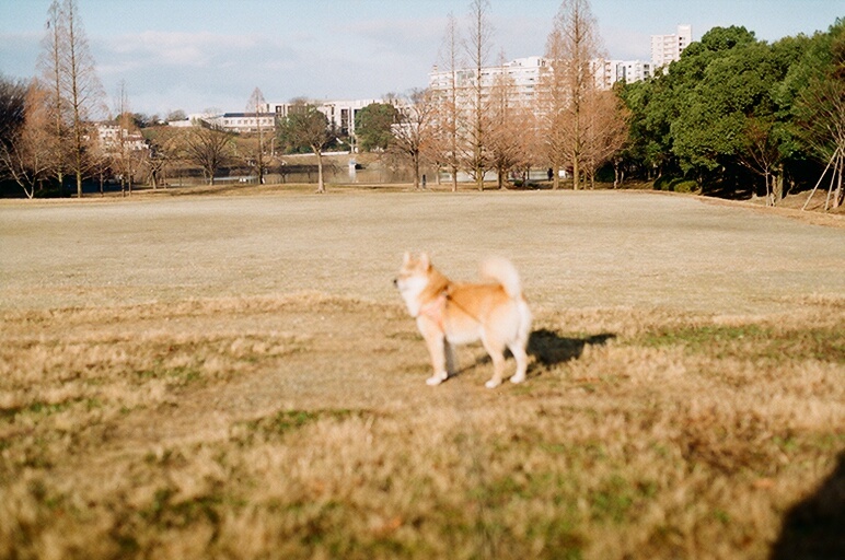 コロン君ボケボケ　フィルムほろ苦デビュー