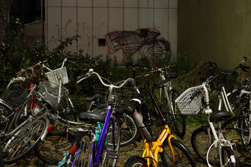 自転車置き場