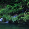 亜熱帯
