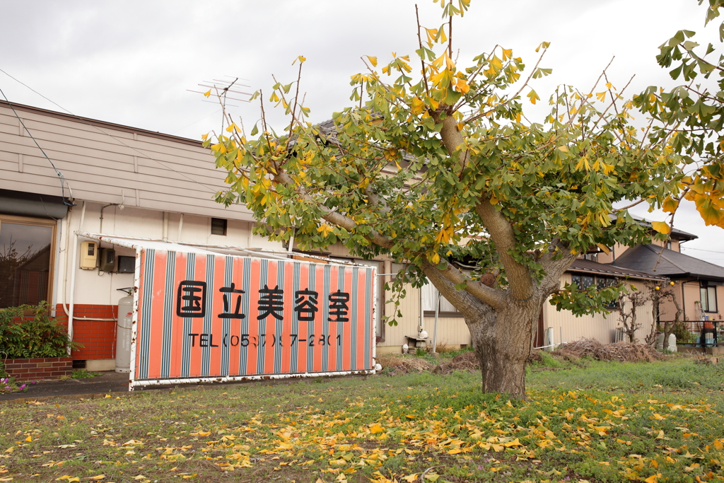国立美容室