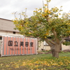 国立美容室
