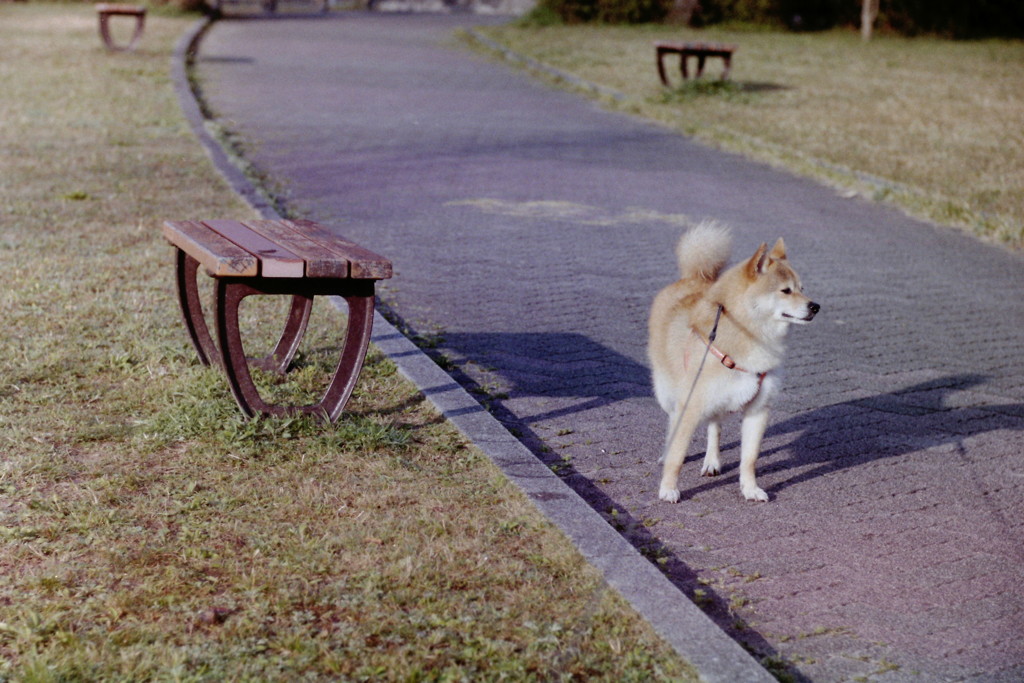 どっちが主役？　