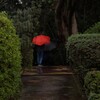 雨の桃厳寺
